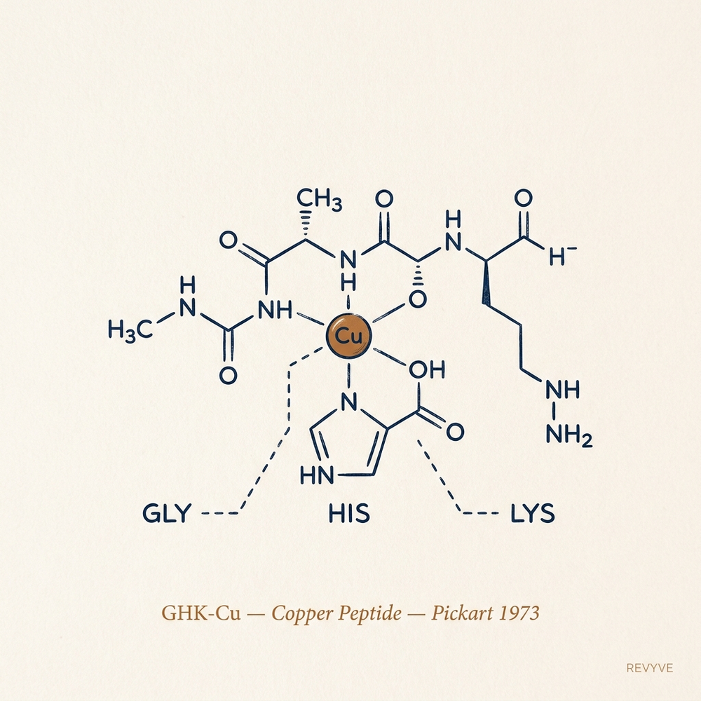 4. The Copper Peptide Your Skin Stopped Making When You Turned 45.